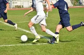 蜜蜂雄起,激战正酣,负能否助力,星力捕鱼平台,星力十代捕鱼游戏,正版星力捕鱼,星力捕鱼app