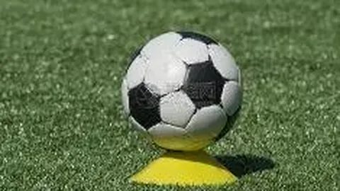 中年男深陷假董卿骗局，网聊成瘾致婚姻破裂