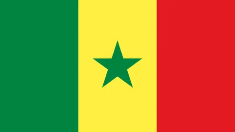 冯坤加入泰国女排教练阵容引热议：中国女排主帅人选悬念重重